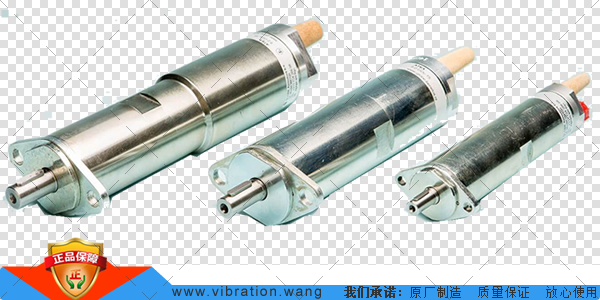 GLOBE紧凑叶片马达