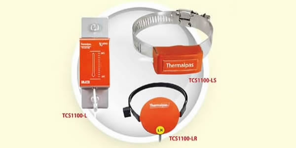 Thermalpas管夹式超传导温度计